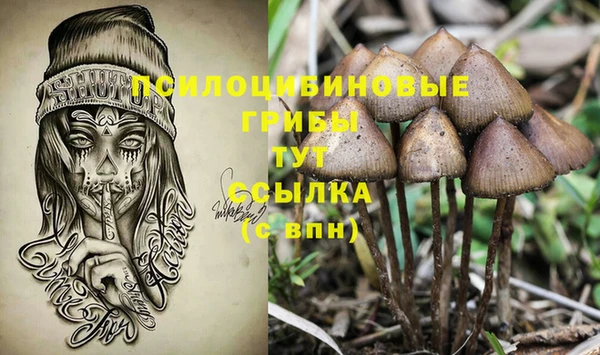 спиды Алексеевка