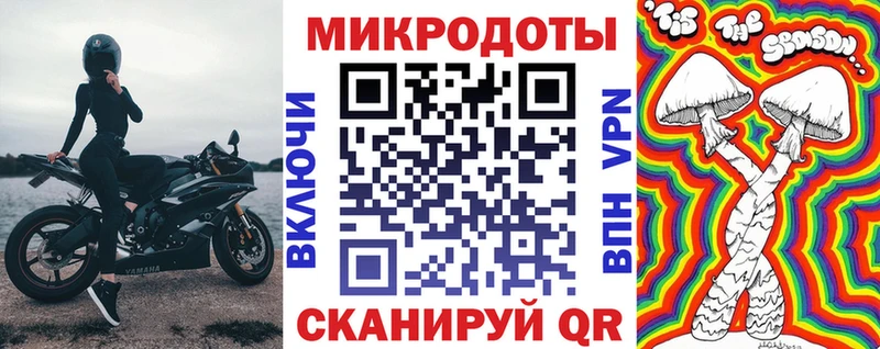 Псилоцибиновые грибы мицелий  наркота  Закаменск 